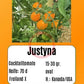 Justyna DER TOMATENFLÜSTERER