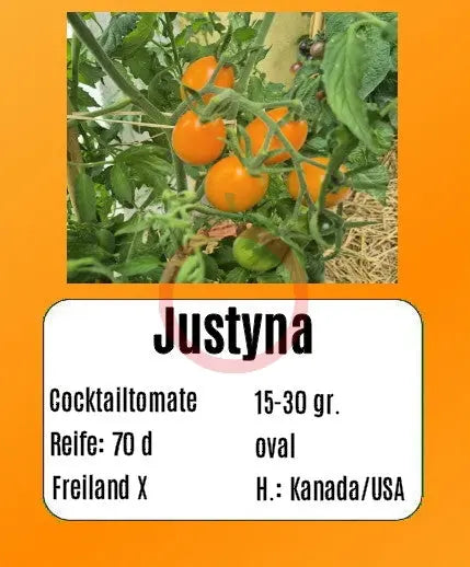 Justyna DER TOMATENFLÜSTERER