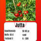 Jutta DER TOMATENFLÜSTERER
