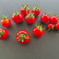 Jutta DER TOMATENFLÜSTERER