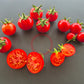 Jutta DER TOMATENFLÜSTERER