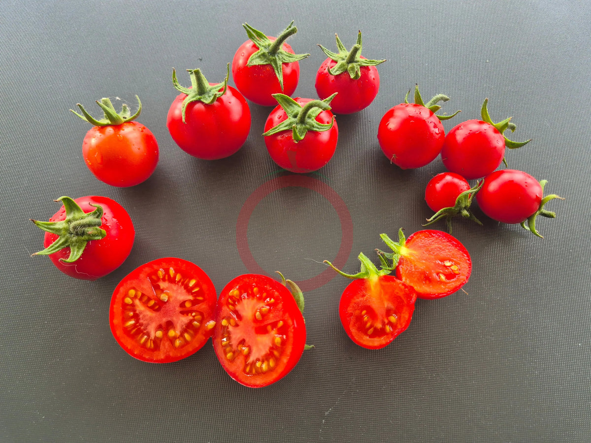 Jutta DER TOMATENFLÜSTERER