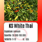 KS White Thai DER TOMATENFLÜSTERER