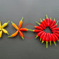 KS White Thai DER TOMATENFLÜSTERER