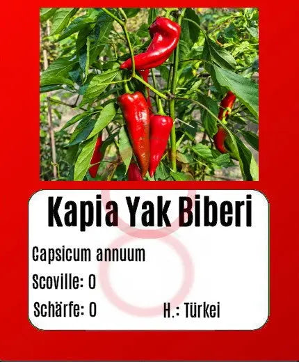 Kapia Yak Biberi DER TOMATENFLÜSTERER