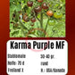 Karma Purple Multiflora DER TOMATENFLÜSTERER