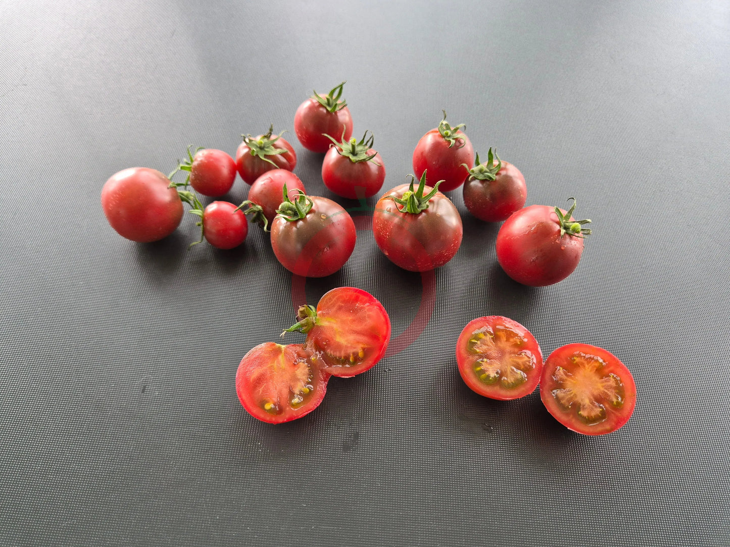 Karma Purple Multiflora DER TOMATENFLÜSTERER