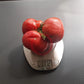 Katharina DER TOMATENFLÜSTERER