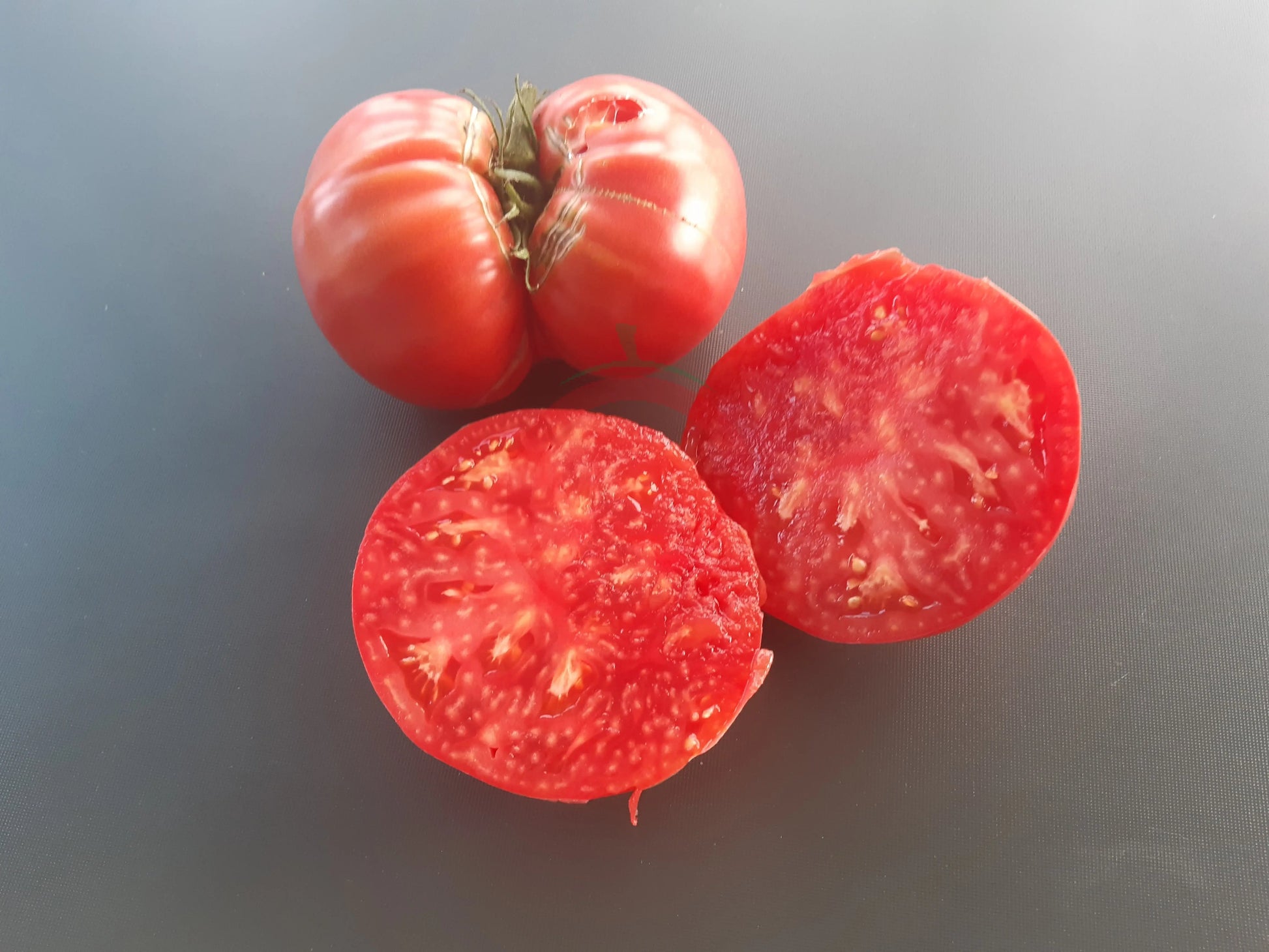 Katharina DER TOMATENFLÜSTERER