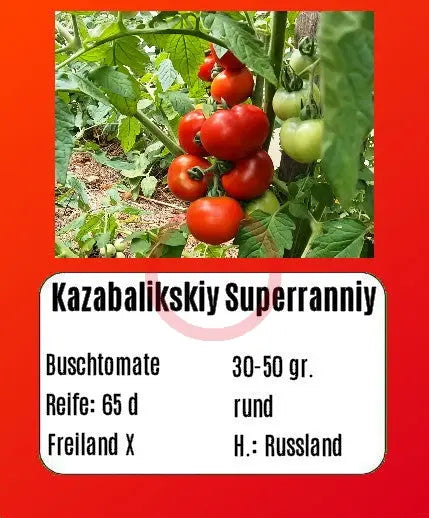Kazabalikskiy Superranniy DER TOMATENFLÜSTERER