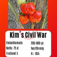 Kim´s Civil War DER TOMATENFLÜSTERER