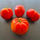 Kim´s Civil War DER TOMATENFLÜSTERER