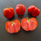 Kim´s Civil War DER TOMATENFLÜSTERER