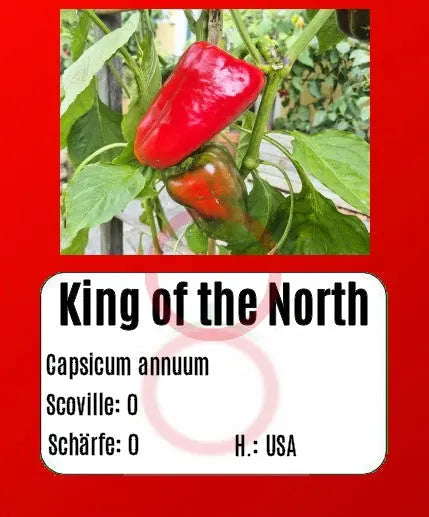 King of the North DER TOMATENFLÜSTERER