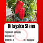 Kitayska Stena DER TOMATENFLÜSTERER