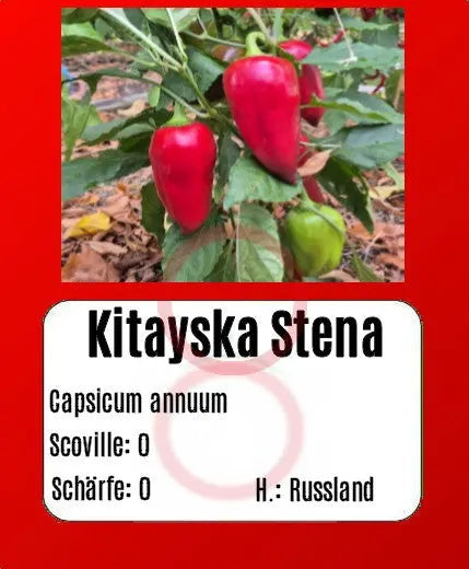 Kitayska Stena DER TOMATENFLÜSTERER