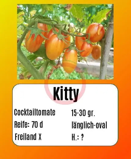 Kitty DER TOMATENFLÜSTERER