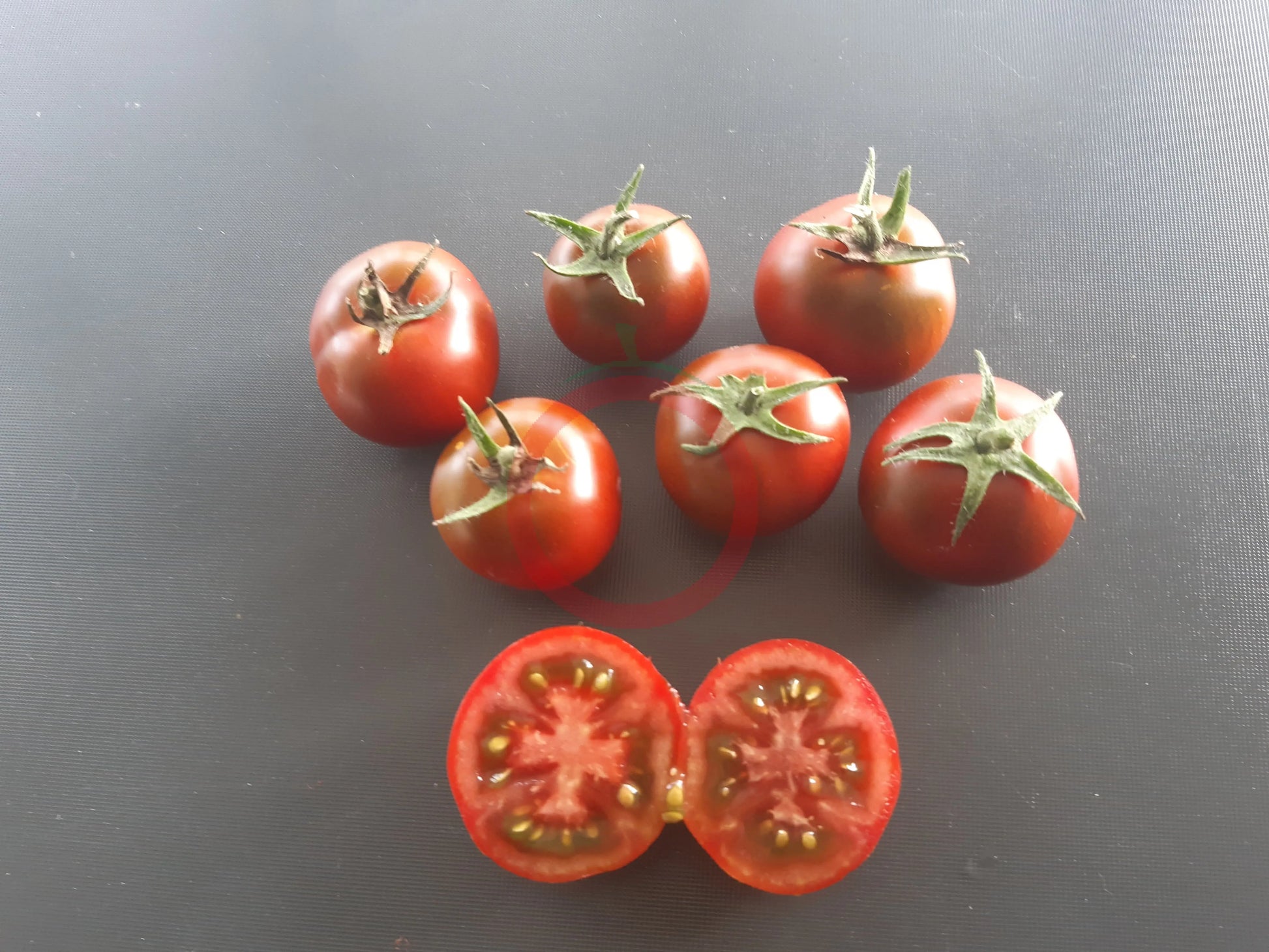 Kodiak Brown DER TOMATENFLÜSTERER