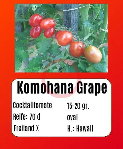 Komohana Grape DER TOMATENFLÜSTERER