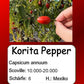 Korita Pepper DER TOMATENFLÜSTERER