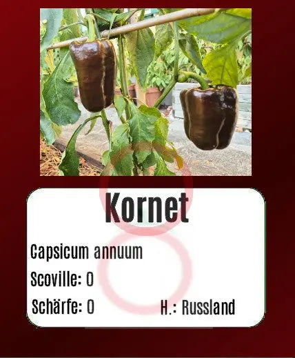Kornet DER TOMATENFLÜSTERER