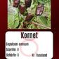 Kornet DER TOMATENFLÜSTERER