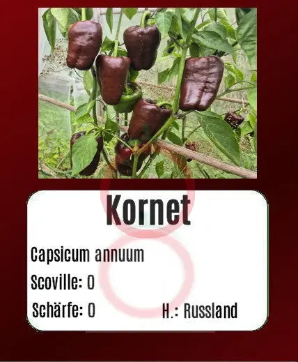 Kornet DER TOMATENFLÜSTERER