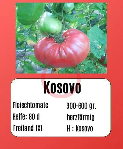 Kosovo DER TOMATENFLÜSTERER