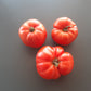 Kot Timofei DER TOMATENFLÜSTERER