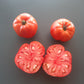Kot Timofei DER TOMATENFLÜSTERER