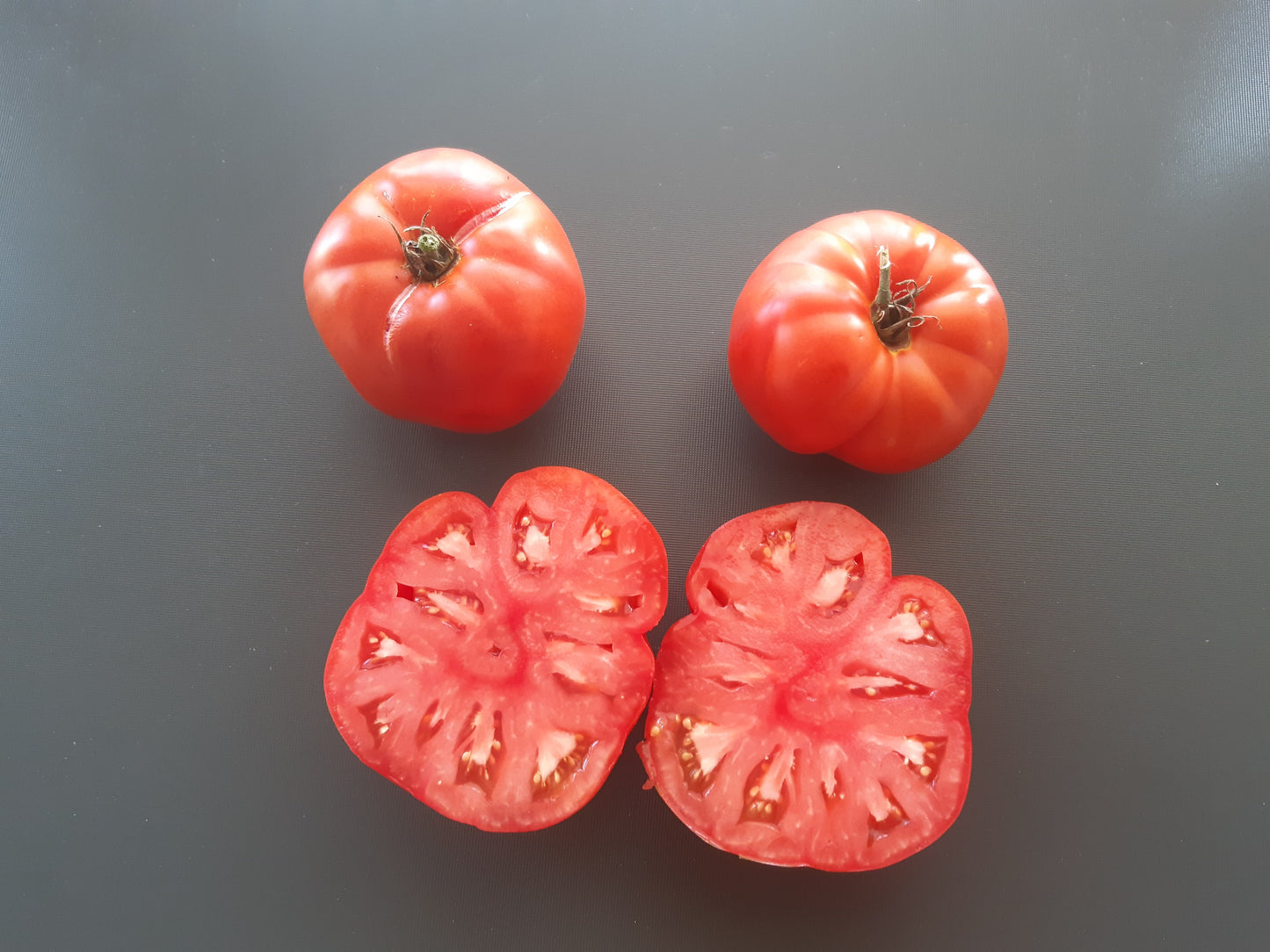 Kot Timofei DER TOMATENFLÜSTERER