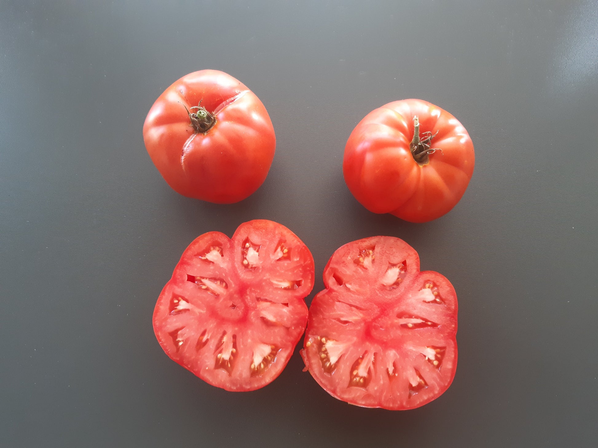 Kot Timofei DER TOMATENFLÜSTERER