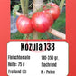Kozula 138 DER TOMATENFLÜSTERER