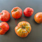 Kozula 138 DER TOMATENFLÜSTERER
