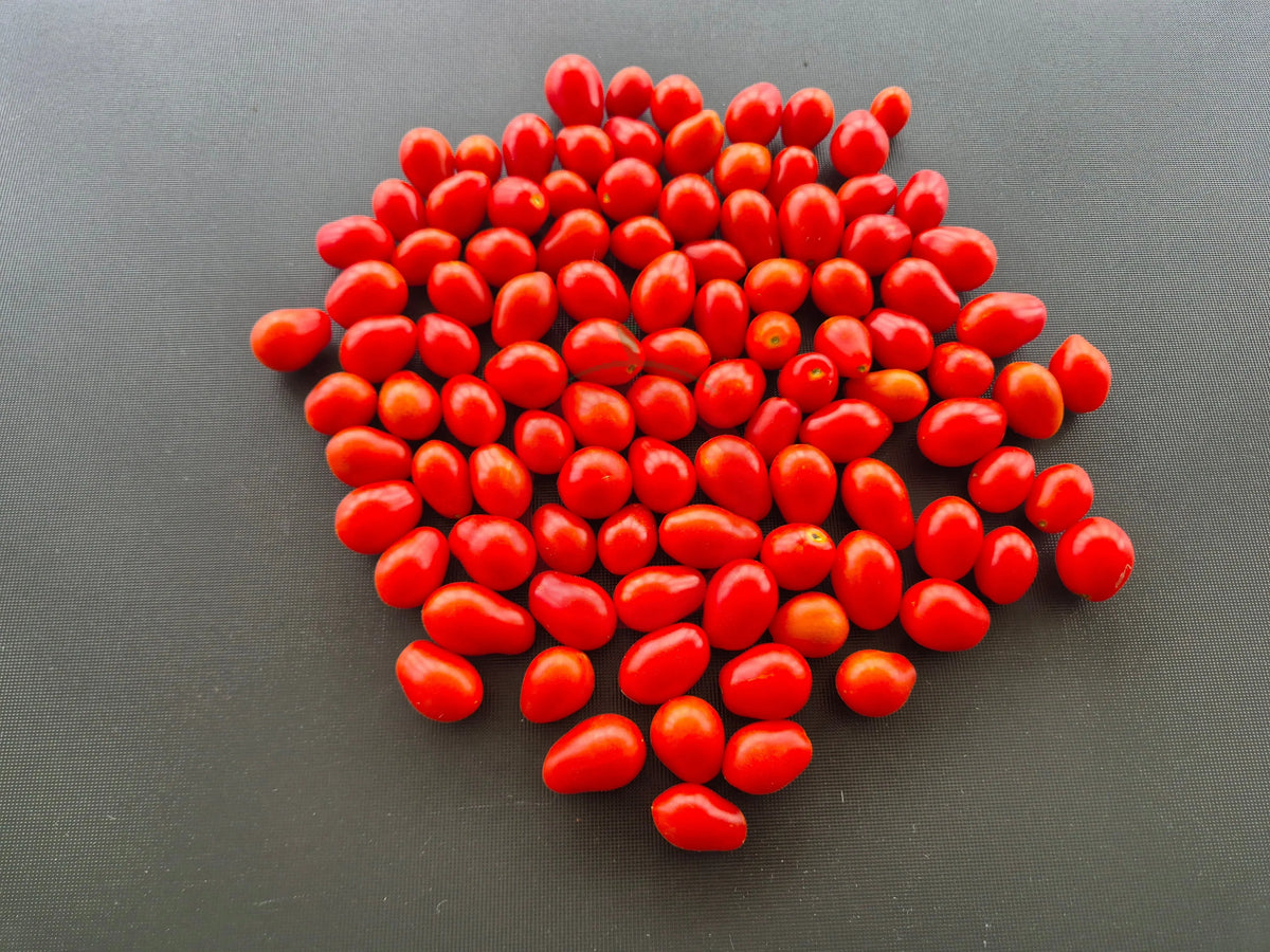 Kozula 14 ´Megagron´ DER TOMATENFLÜSTERER