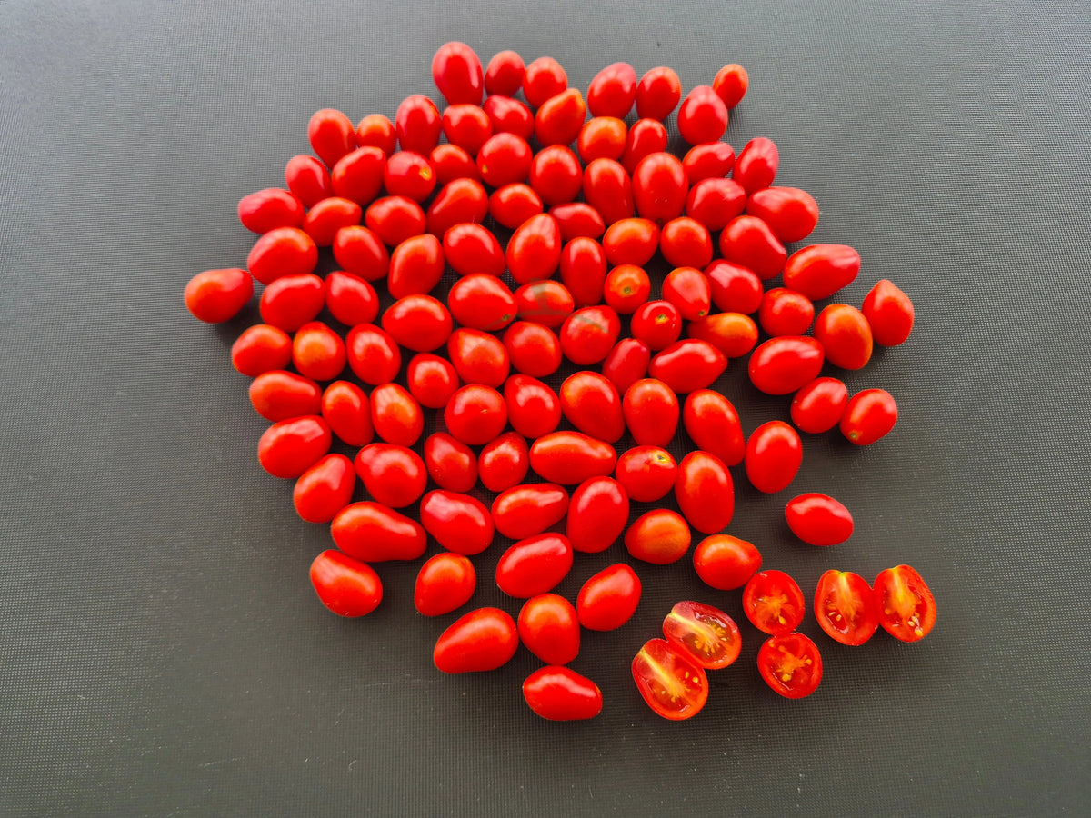 Kozula 14 ´Megagron´ DER TOMATENFLÜSTERER