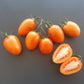 Kuldne Kala DER TOMATENFLÜSTERER
