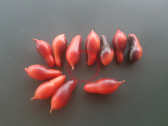 Menus | Indaco In Charleston, SC - Foto 9