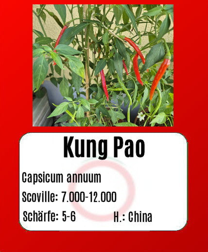 Kung Pao DER TOMATENFLÜSTERER