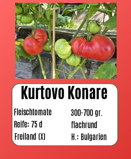 Kurtovo Konare DER TOMATENFLÜSTERER