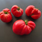 Kurtovo Konare DER TOMATENFLÜSTERER