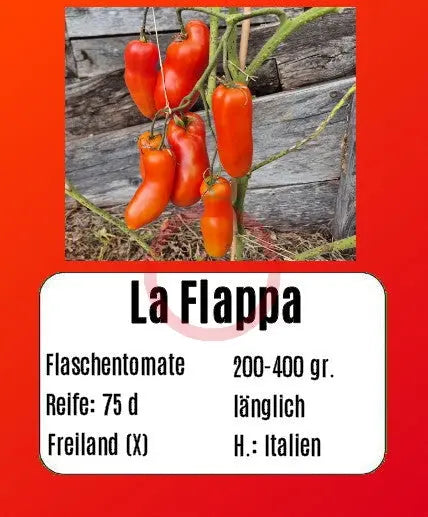 La Flappa DER TOMATENFLÜSTERER