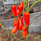 La Flappa DER TOMATENFLÜSTERER