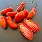 La Flappa DER TOMATENFLÜSTERER
