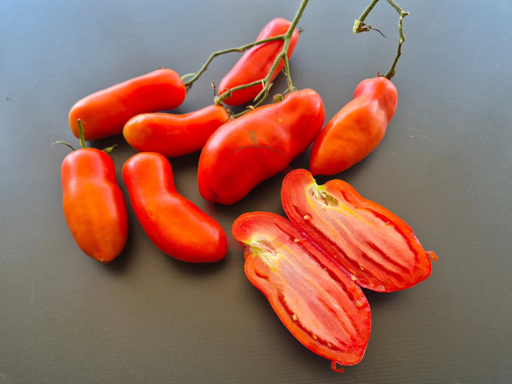 La Flappa DER TOMATENFLÜSTERER
