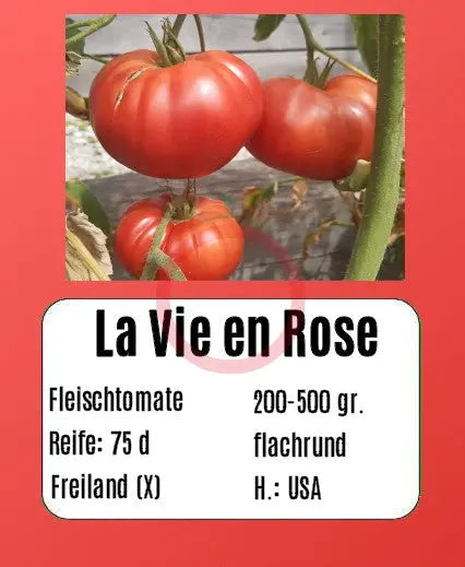 La Vie en Rose DER TOMATENFLÜSTERER