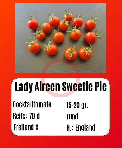 Lady Aireen Sweetie Pie DER TOMATENFLÜSTERER