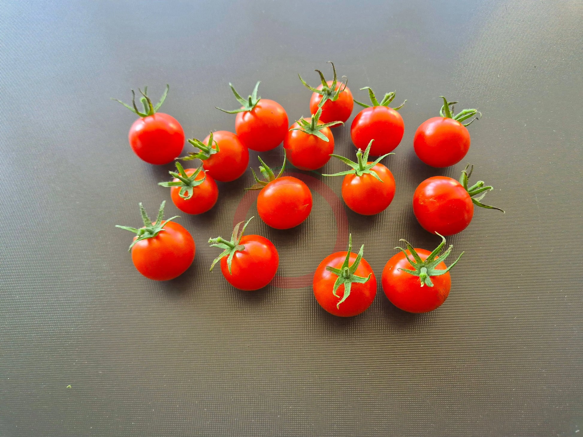 Lady Aireen Sweetie Pie DER TOMATENFLÜSTERER