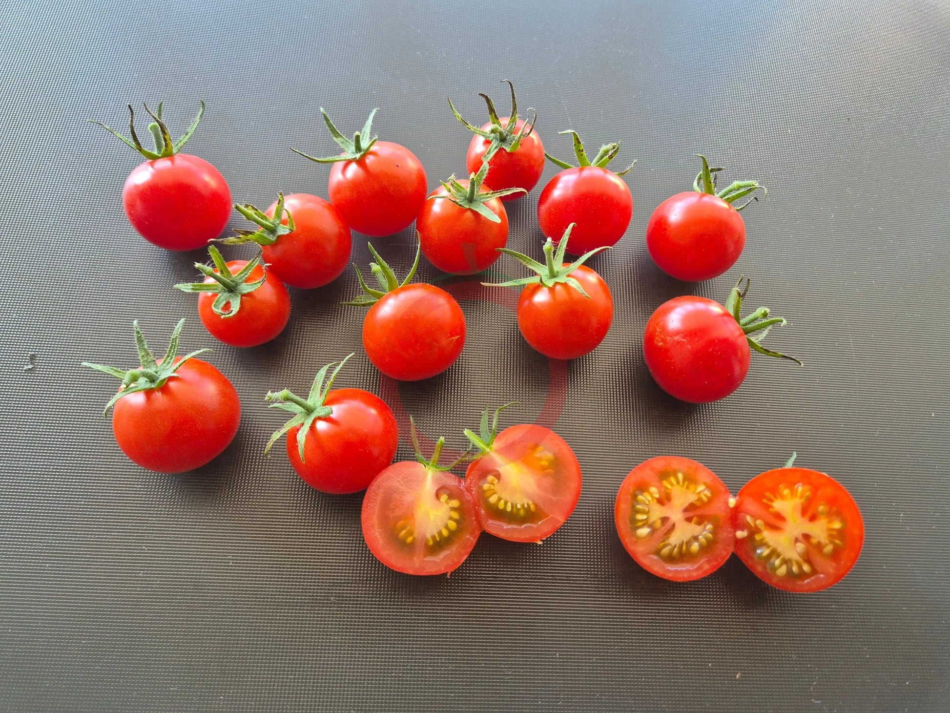 Lady Aireen Sweetie Pie DER TOMATENFLÜSTERER