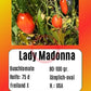 Lady Madonna DER TOMATENFLÜSTERER
